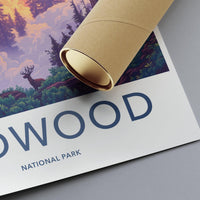 Redwood National Park Poster