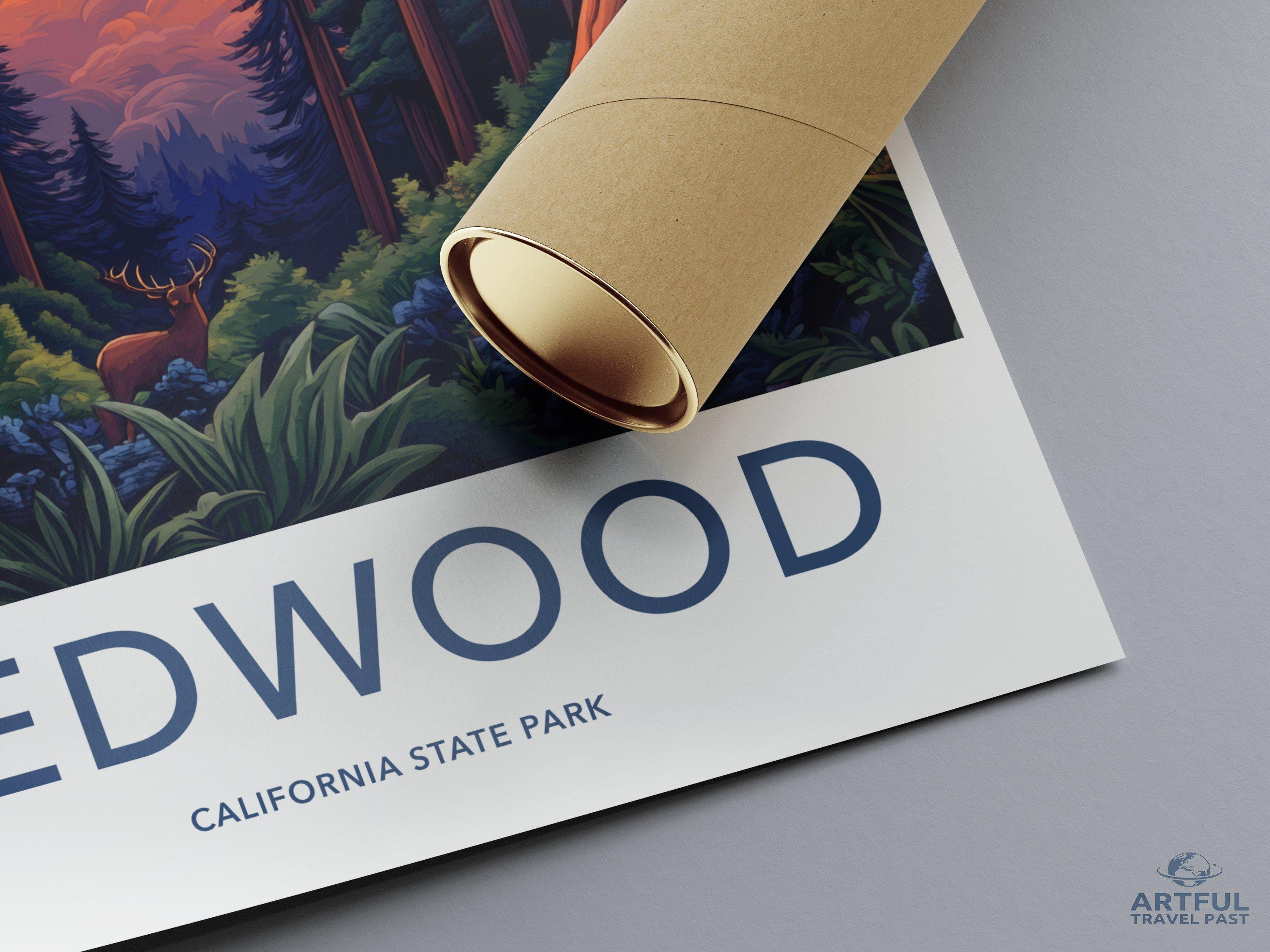 Redwood National Park Poster | California Wall Art