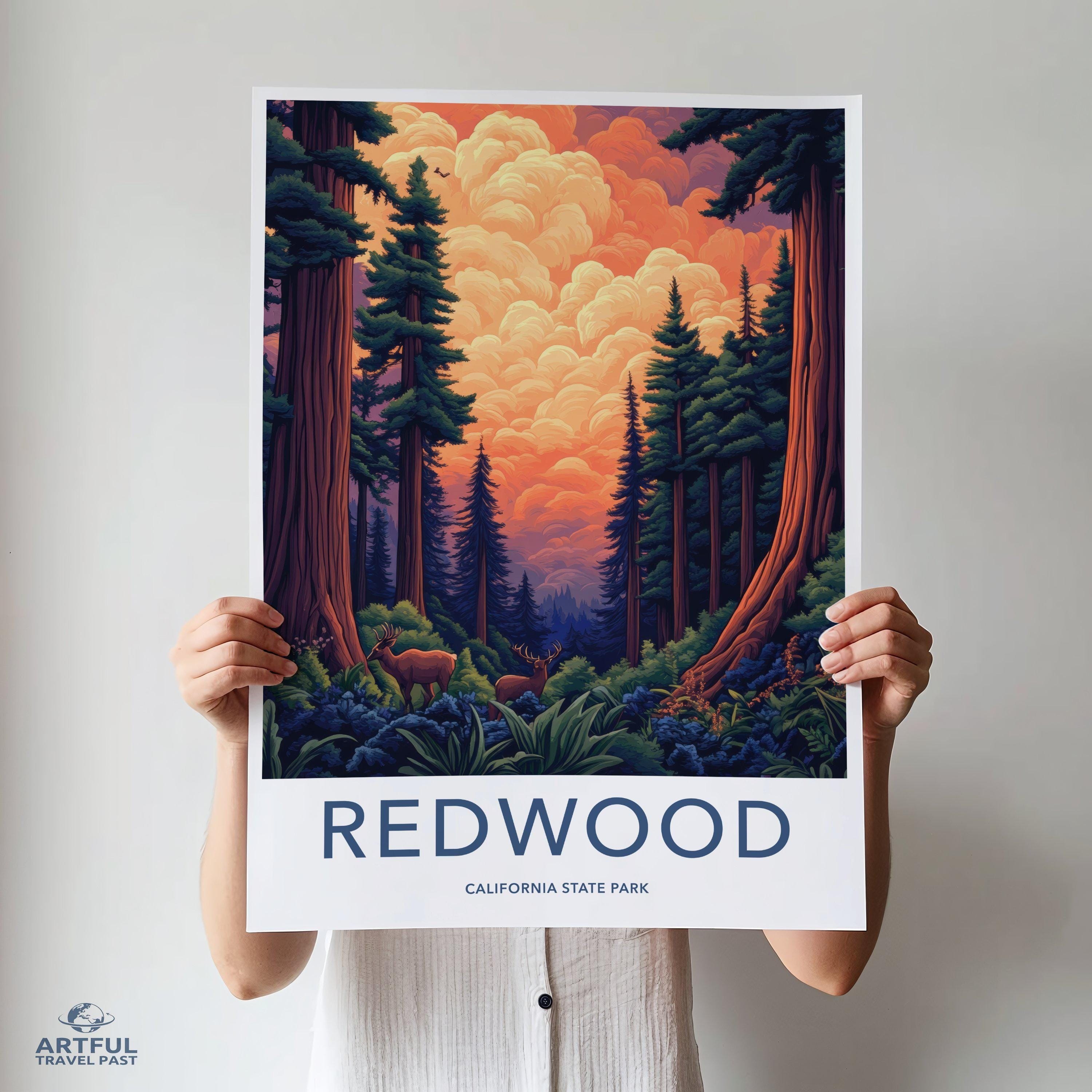 Redwood National Park Poster | California Wall Art