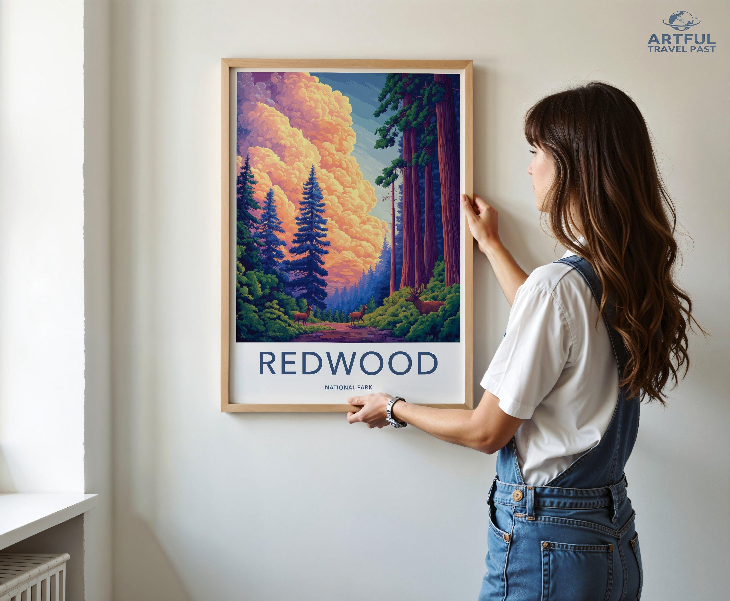 Redwood National Park Poster | California Wall Art