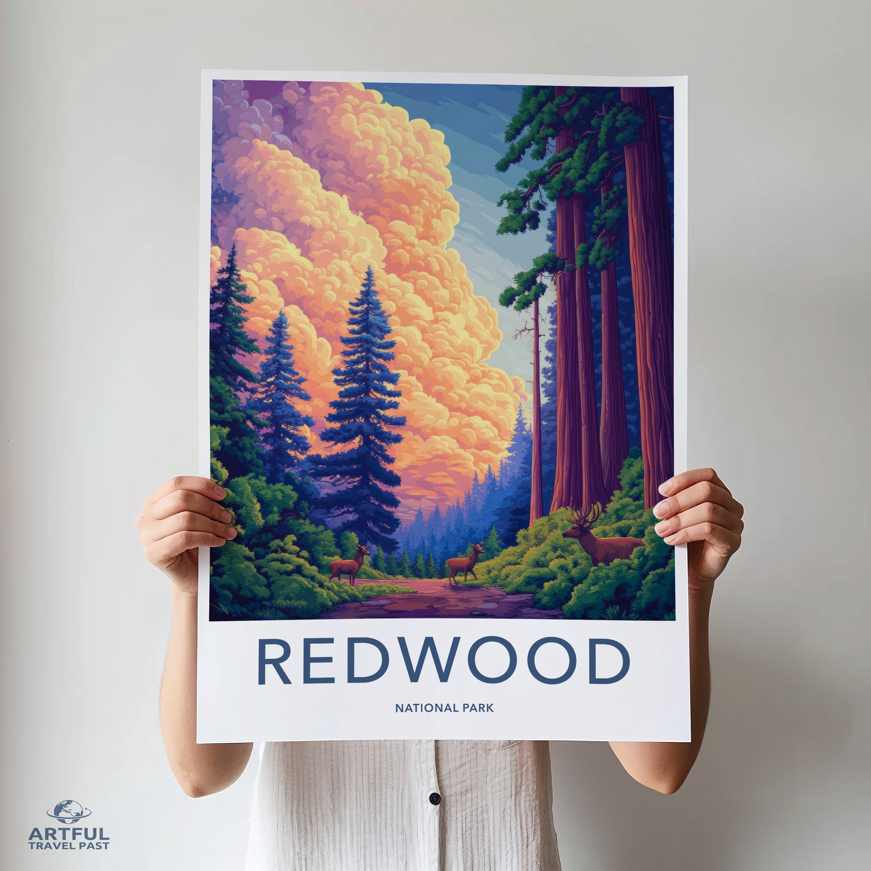 Redwood National Park Poster | California Wall Art