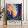 Redwood National Park Poster | California Wall Art