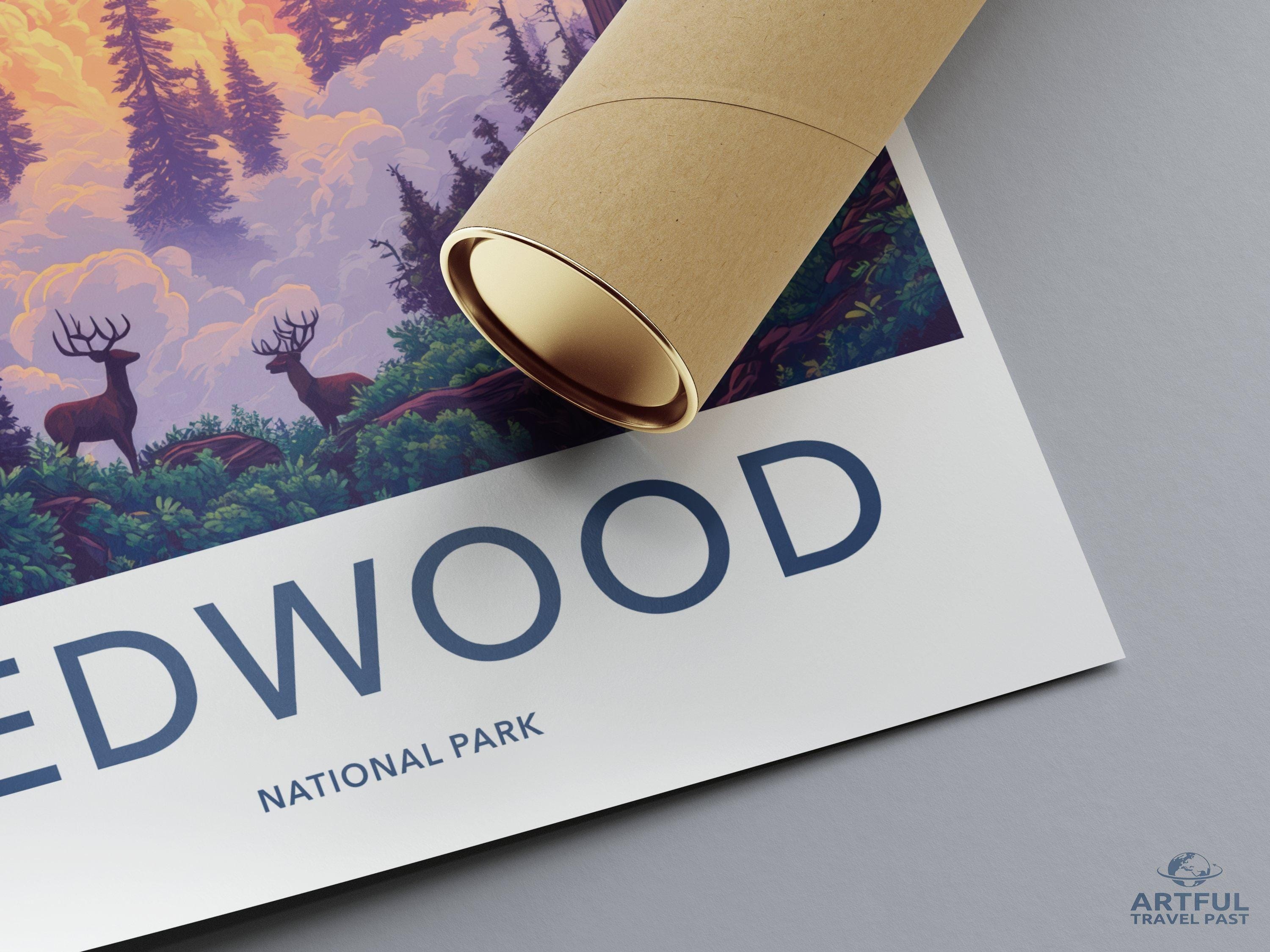 Redwood National Park Poster | California Wall Art