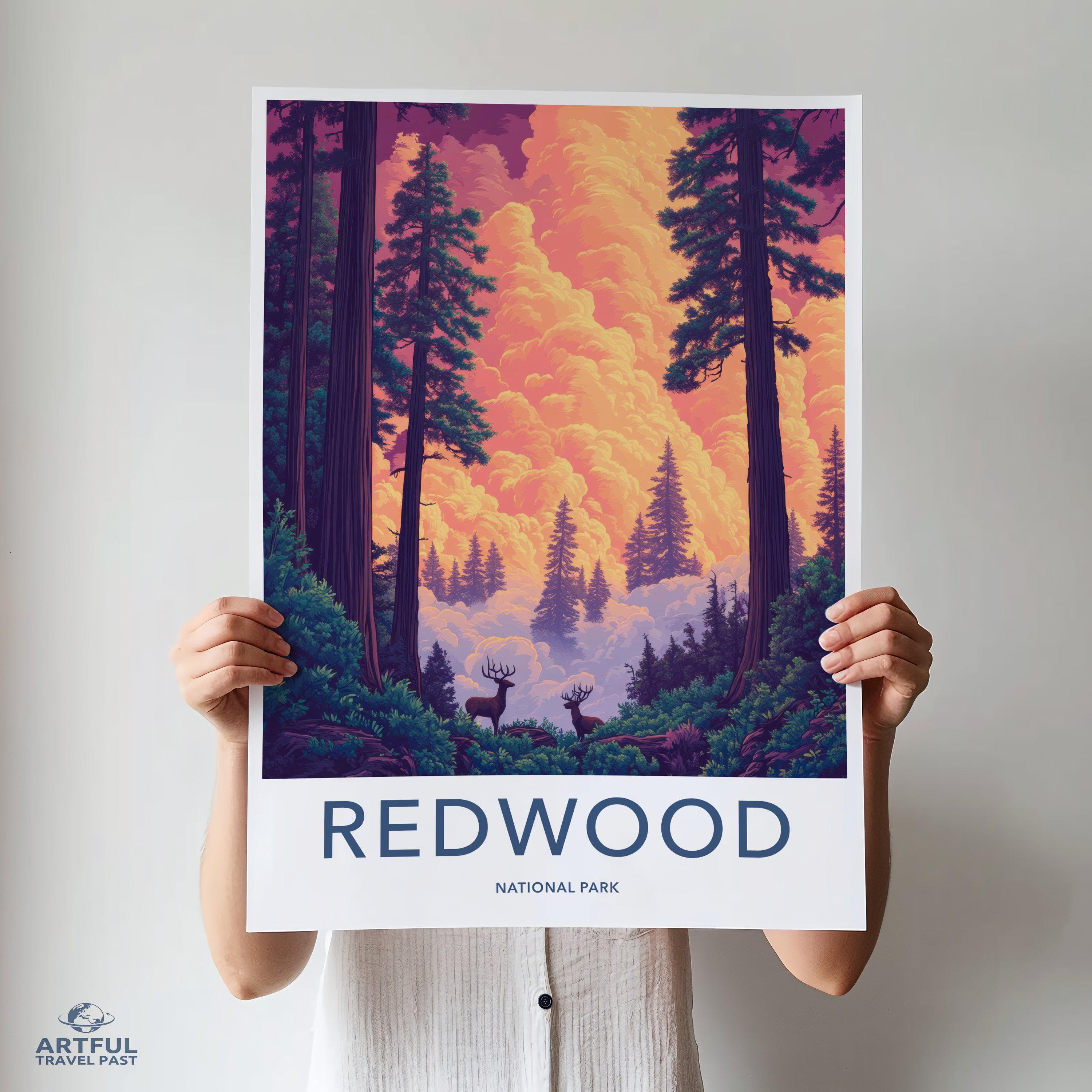 Redwood National Park Poster | California Wall Art