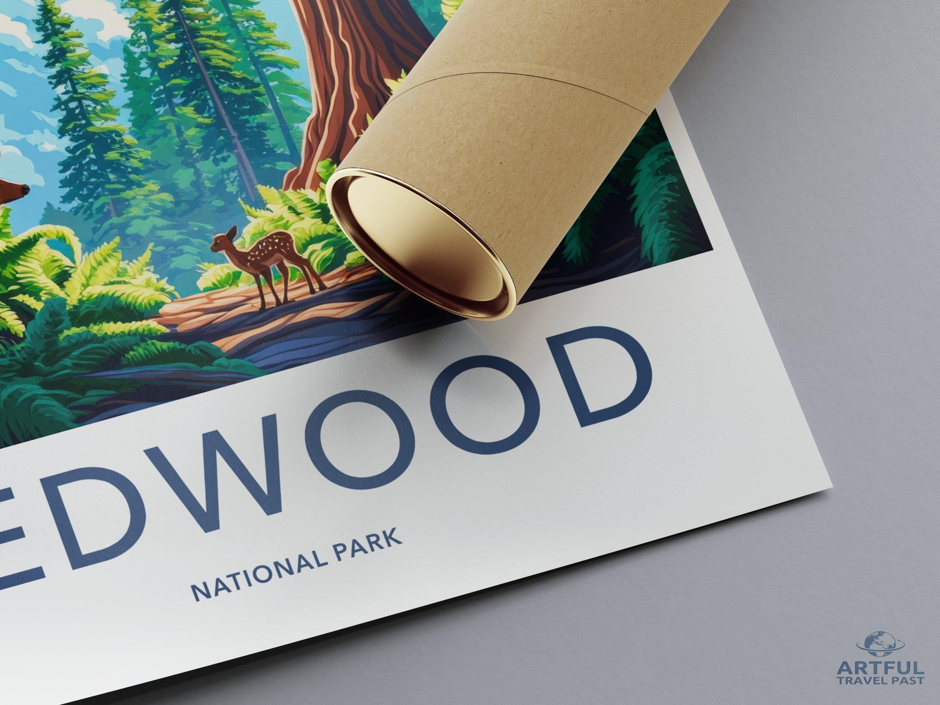 Redwood National Park Poster | California Wall Art