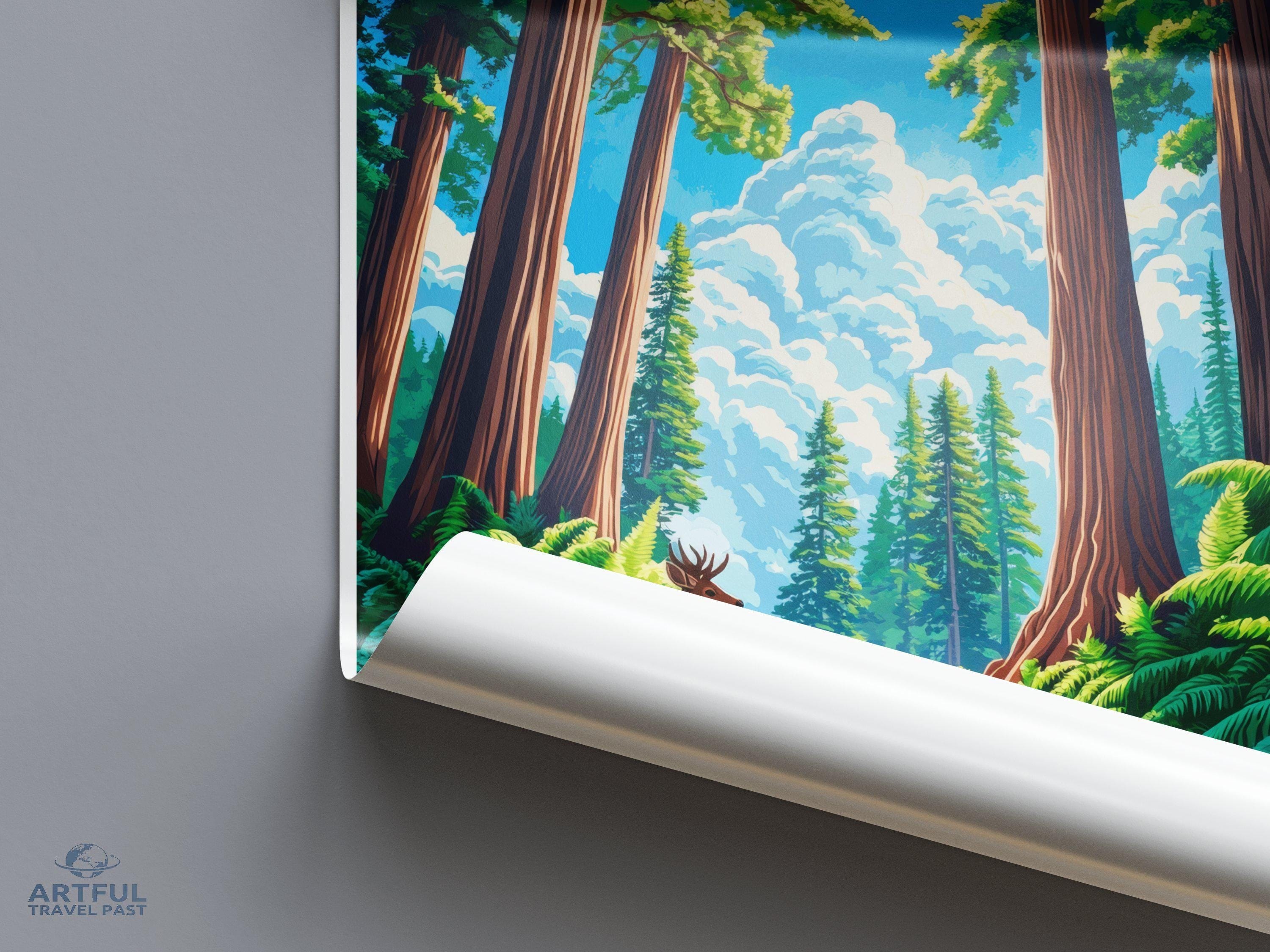 Redwood National Park Poster | California Wall Art