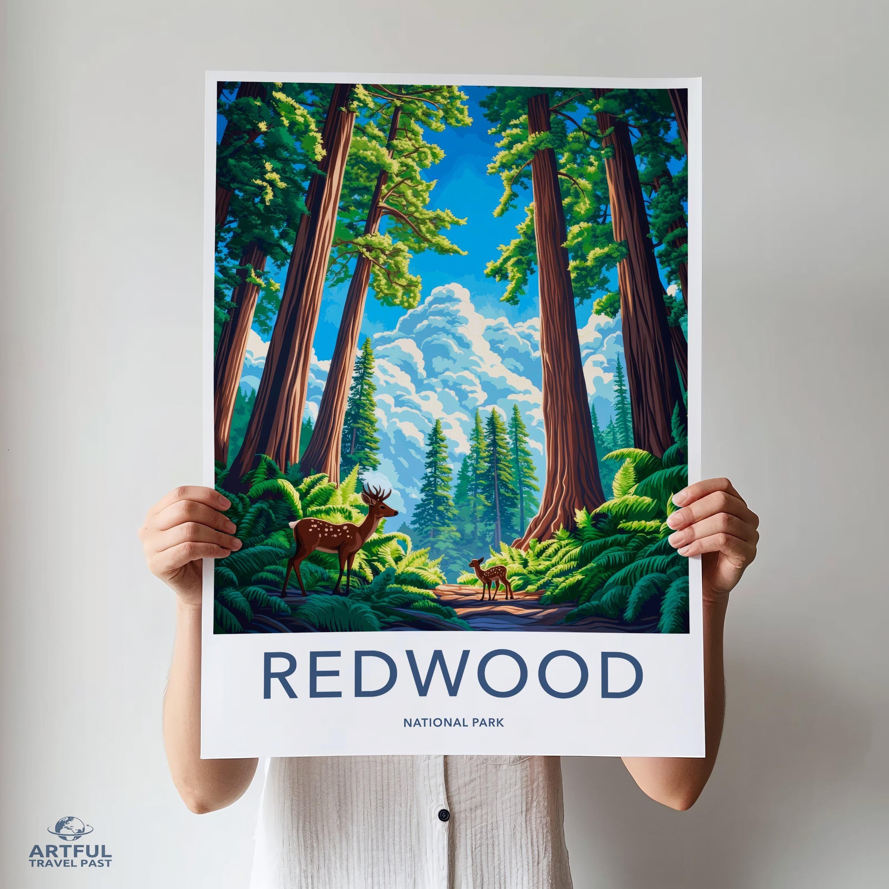 Redwood National Park Poster | California Wall Art