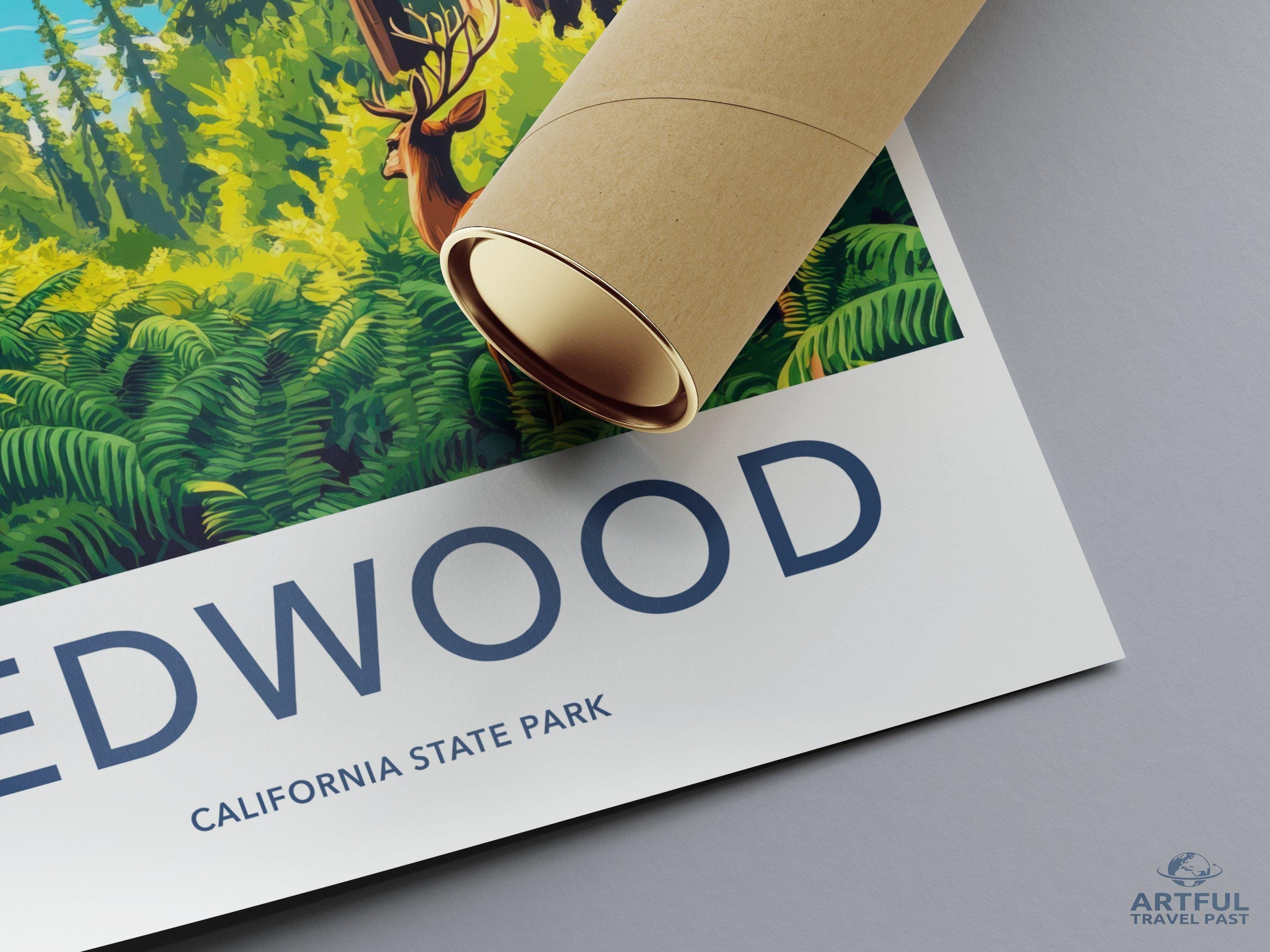 Redwood National Park Poster | California Wall Art