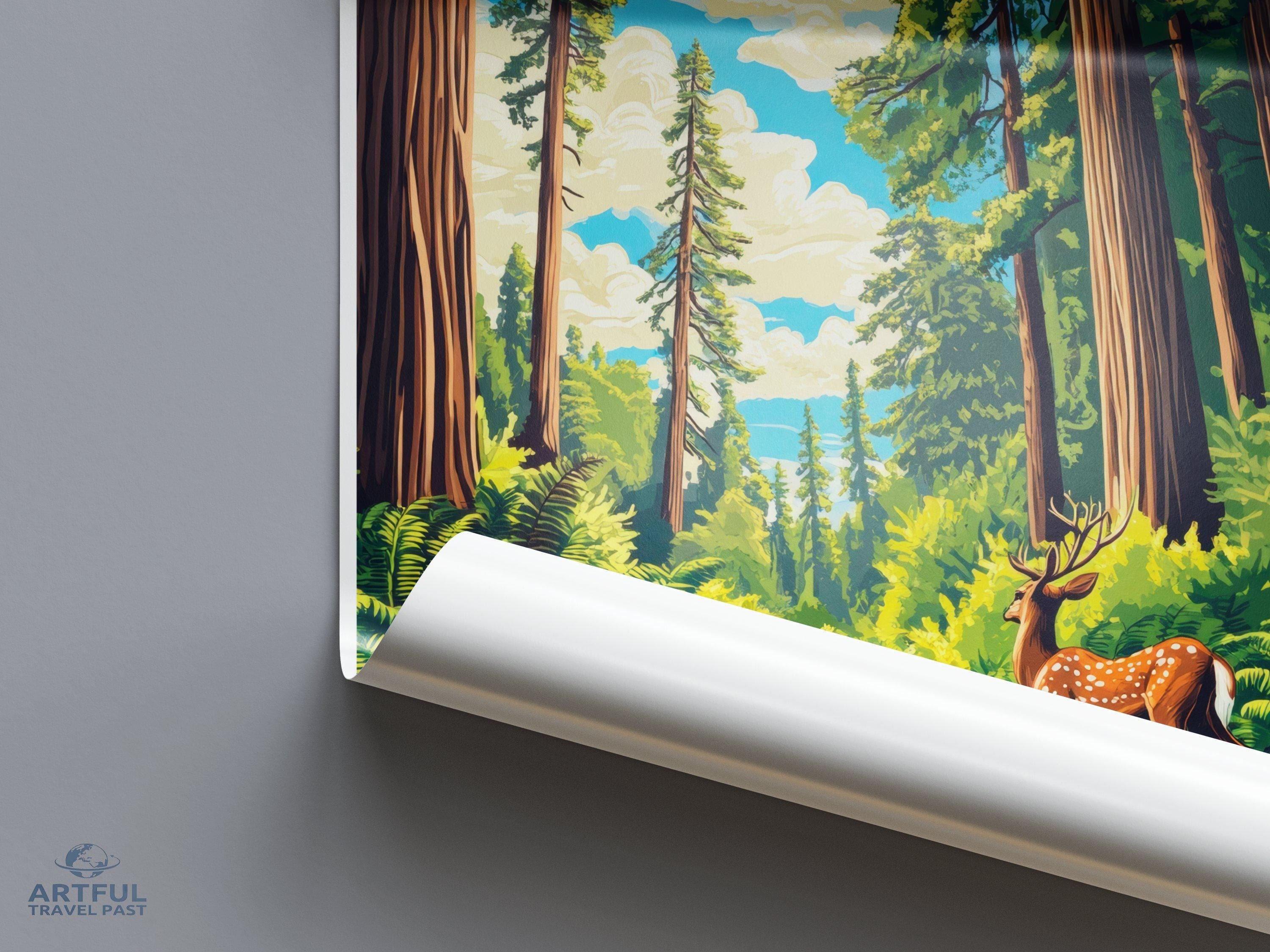 Redwood National Park Poster | California Wall Art