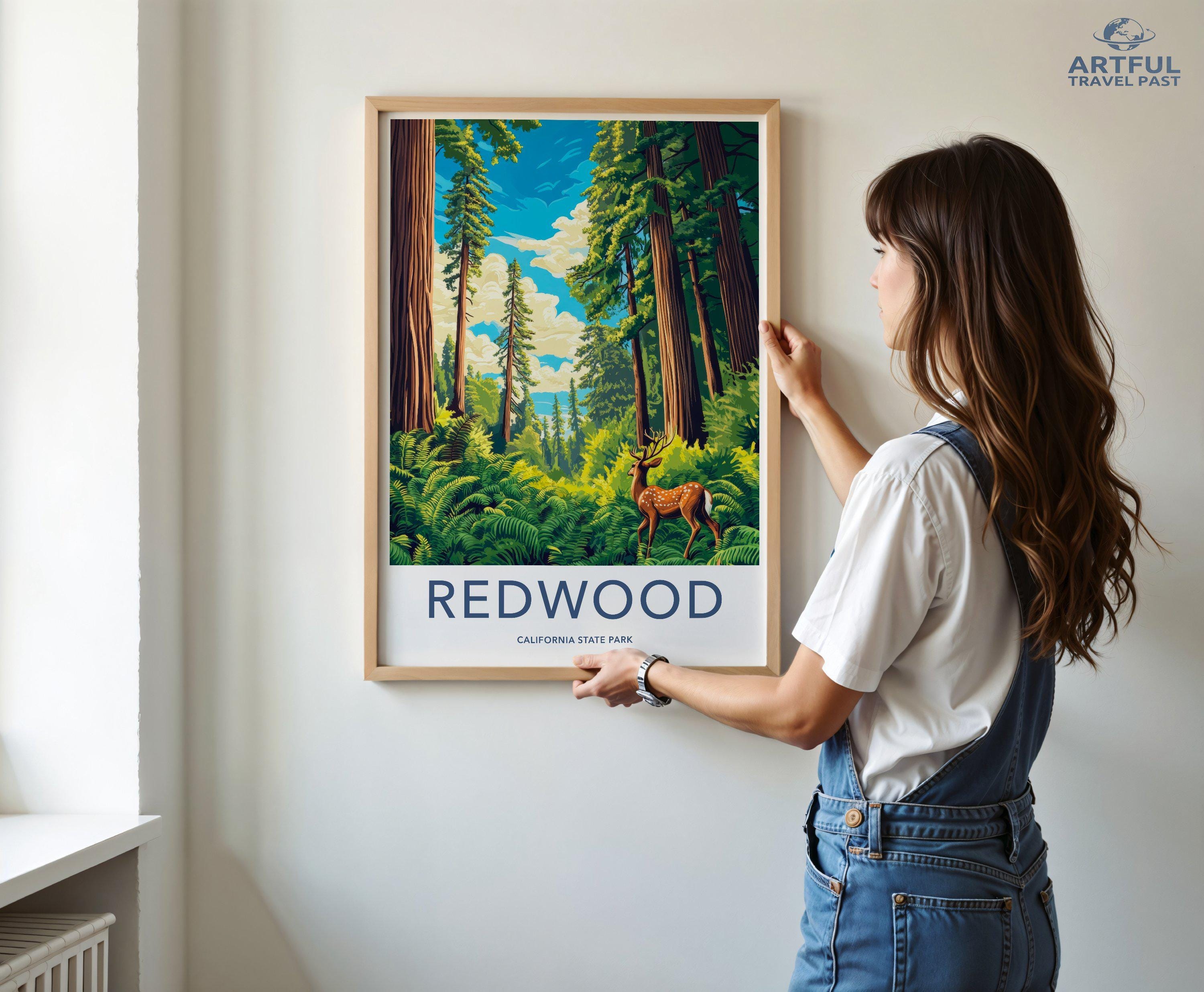 Redwood National Park Poster | California Wall Art