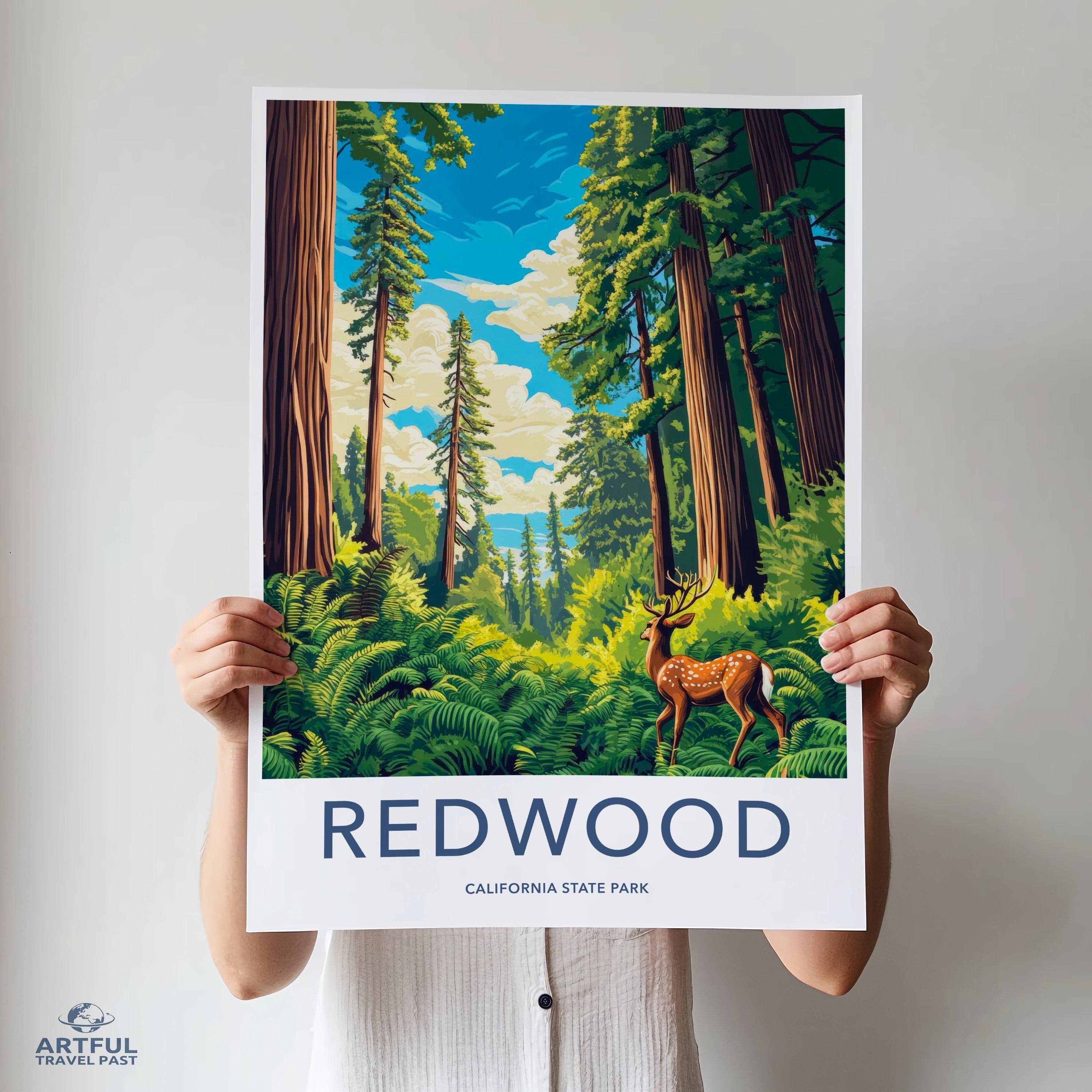 Redwood National Park Poster | California Wall Art