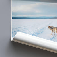 Rondane National Park Poster