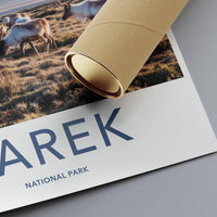 Sarek National Park Poster