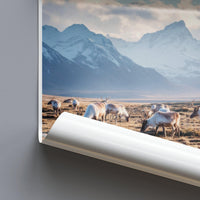 Sarek National Park Poster