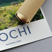 Sochi National Park Poster