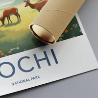 Sochi National Park Poster