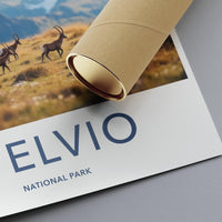 Stelvio National Park Poster