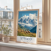 Stelvio National Park Poster - Italy