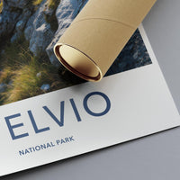 Stelvio National Park Poster - Italy