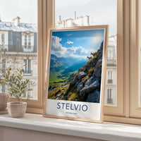 Stelvio National Park Poster - Italy