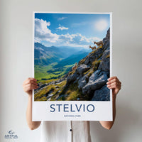 Stelvio National Park Poster - Italy