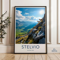 Stelvio National Park Poster - Italy
