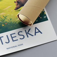Sutjeska National Park Poster