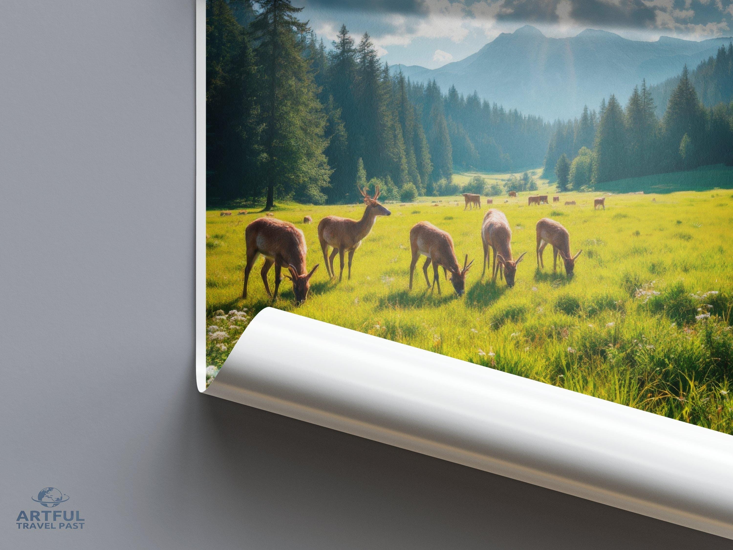 Sutjeska National Park Poster