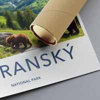 Tatranský National Park Poster