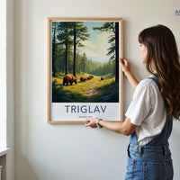 Triglav National Park Poster