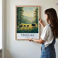 Triglav National Park Poster