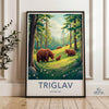 Triglav National Park Poster | Slovenia Wall Art