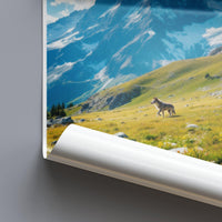 Vanoise National Park Poster
